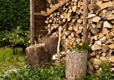 Plains Settlers on Kansas Homestead Missed Plentiful Wood of the East Image